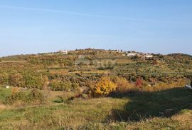 ISTRA, MOMJAN - Zemljište s pogledom i građevinskom dozvolom za gradnju više objekata, Buje, Terrain