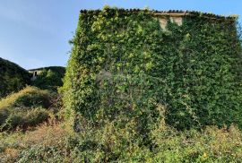 ISTRA, MOMJAN - Zemljište s pogledom i građevinskom dozvolom za gradnju više objekata, Buje, Terrain