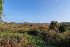 ISTRA, MOMJAN - Zemljište s pogledom i građevinskom dozvolom za gradnju više objekata, Buje, Terrain