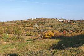 ISTRA, MOMJAN - Zemljište s pogledom i građevinskom dozvolom za gradnju više objekata, Buje, Terrain