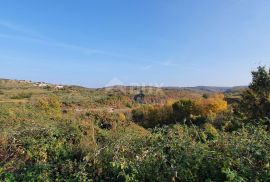 ISTRA, MOMJAN - Zemljište s pogledom i građevinskom dozvolom za gradnju više objekata, Buje, Terrain