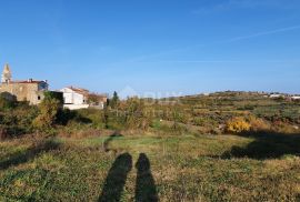 ISTRA, MOMJAN - Zemljište s pogledom i građevinskom dozvolom za gradnju više objekata, Buje, Terrain