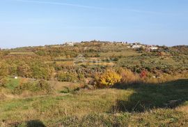 ISTRA, MOMJAN - Zemljište s pogledom i građevinskom dozvolom za gradnju više objekata, Buje, Terrain