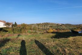 ISTRA, MOMJAN - Zemljište s pogledom i građevinskom dozvolom za gradnju više objekata, Buje, Terrain