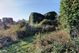 ISTRA, MOMJAN - Zemljište s pogledom i građevinskom dozvolom za gradnju više objekata, Buje, Terrain