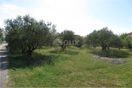 ZADAR,SUKOŠAN - građevinsko zemljište, Sukošan, Land