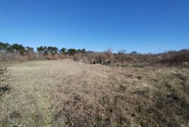 ISTRA, SVETVINČENAT - Građevinsko zemljište na prodaju, Svetvinčenat, Arazi