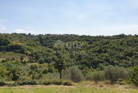 ISTRA, MOMJAN - Prekrasna vila s bazenom i panoramskim pogledom na prirodu i more, Buje, Casa