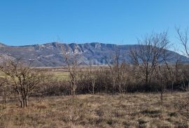 ISTRA, KRŠAN - Poljoprivredno zemljište na rubu urbanizacije, Kršan, Land