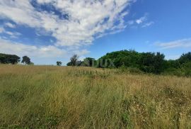 ISTRA, UMAG - Zemljište T2 namjene udaljeno 200 m od mora, Umag, Terrain