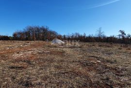 ISTRA, SVETVINČENAT - Stancija 27283m2 s lokacijskom dozvolom i idejnim projektom, Svetvinčenat, Terra