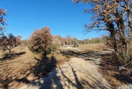 ISTRA, SVETVINČENAT - Stancija 27283m2 s lokacijskom dozvolom i idejnim projektom, Svetvinčenat, Terra