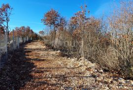 ISTRA, SVETVINČENAT - Stancija 27283m2 s lokacijskom dozvolom i idejnim projektom, Svetvinčenat, Terra