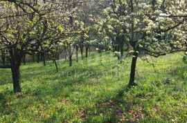 VIROVITICA- Kuća sa predivnim pogledom na netaknutu prirodu!, Virovitica, Maison