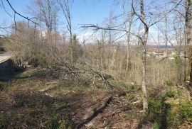 KASTAV, ŽEGOTI, PAVLETIĆI - građevinski teren 3200m2 za  stambenu ili poslovno-stambenu zgradu / obiteljsku kuću, Kastav, Tierra