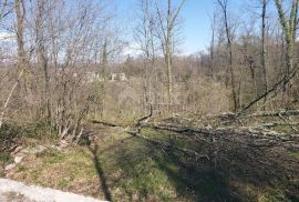 KASTAV, ŽEGOTI, PAVLETIĆI - građevinski teren 3200m2 za  stambenu ili poslovno-stambenu zgradu / obiteljsku kuću, Kastav, Tierra