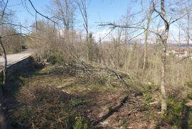 KASTAV, ŽEGOTI, PAVLETIĆI - građevinski teren 3200m2 za  stambenu ili poslovno-stambenu zgradu / obiteljsku kuću, Kastav, Tierra