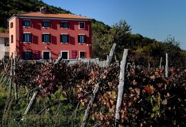 ISTRA, MOTOVUN - Kuća na jedinstvenom položaju i s jedinstvenom ponudom u Istri, Motovun, Casa