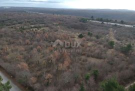 ISTRA, LIMSKA DRAGA - Zemljište 22000 m2 za izgradnju, Kanfanar, Land