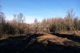 ISTRA, LABIN - Građevinsko zemljište 5697 m2,, Sveta Nedelja, Terreno