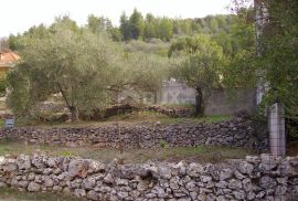 VELA LUKA -Predivno građevno zemljište blizu mora, Korčula, Terreno