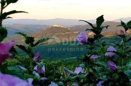 ISTRA, VIŽINADA - Prostrano građevinsko zemljište panoramskog pogleda, Vižinada, Arazi