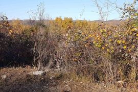 ISTRA, VIŽINADA - Prostrano građevinsko zemljište na osami s panoramskim pogledom, Vižinada, Zemljište