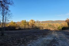 ISTRA, VIŽINADA - Prostrano građevinsko zemljište na osami s panoramskim pogledom, Vižinada, Zemljište