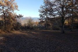 ISTRA, VIŽINADA - Prostrano građevinsko zemljište na osami s panoramskim pogledom, Vižinada, Zemljište