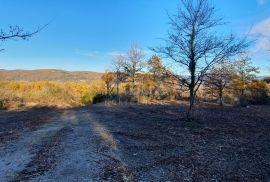 ISTRA, VIŽINADA - Prostrano građevinsko zemljište na osami s panoramskim pogledom, Vižinada, Zemljište