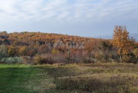 ISTRA, VIŽINADA - Prostrano građevinsko zemljište na osami s panoramskim pogledom, Vižinada, Zemljište