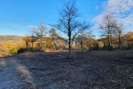 ISTRA, VIŽINADA - Prostrano građevinsko zemljište na osami s panoramskim pogledom, Vižinada, Zemljište