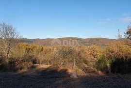 ISTRA, VIŽINADA - Prostrano građevinsko zemljište na osami s panoramskim pogledom, Vižinada, Zemljište