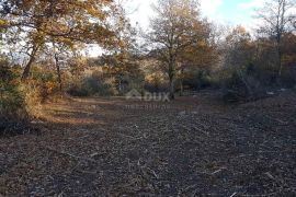 ISTRA, VIŽINADA - Prostrano građevinsko zemljište na osami s panoramskim pogledom, Vižinada, Zemljište