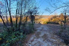 ISTRA, VIŽINADA - Prostrano građevinsko zemljište na osami s panoramskim pogledom, Vižinada, Zemljište