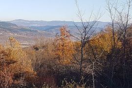 ISTRA, VIŽINADA - Prostrano građevinsko zemljište na osami s panoramskim pogledom, Vižinada, Zemljište