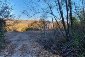 ISTRA, VIŽINADA - Prostrano građevinsko zemljište na osami s panoramskim pogledom, Vižinada, Zemljište