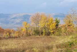 ISTRA, VIŽINADA - Prostrano građevinsko zemljište na osami s panoramskim pogledom, Vižinada, Zemljište