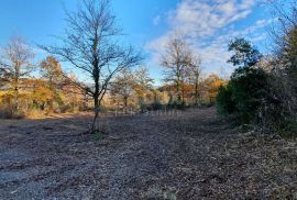 ISTRA, VIŽINADA - Prostrano građevinsko zemljište na osami s panoramskim pogledom, Vižinada, Zemljište