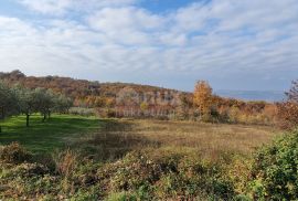 ISTRA, VIŽINADA - Prostrano građevinsko zemljište na osami s panoramskim pogledom, Vižinada, Zemljište