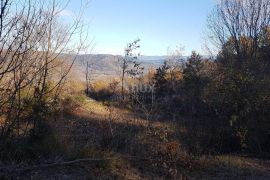 ISTRA, VIŽINADA - Prostrano građevinsko zemljište na osami s panoramskim pogledom, Vižinada, Zemljište