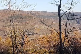 ISTRA, VIŽINADA - Prostrano građevinsko zemljište na osami s panoramskim pogledom, Vižinada, Zemljište