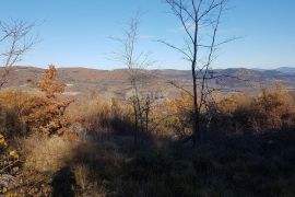 ISTRA, VIŽINADA - Prostrano građevinsko zemljište na osami s panoramskim pogledom, Vižinada, Zemljište