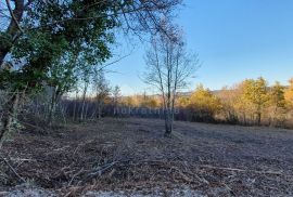 ISTRA, VIŽINADA - Prostrano građevinsko zemljište na osami s panoramskim pogledom, Vižinada, Zemljište