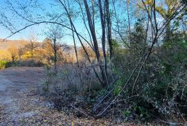 ISTRA, VIŽINADA - Prostrano građevinsko zemljište na osami s panoramskim pogledom, Vižinada, Zemljište