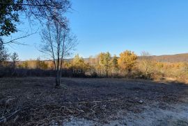 ISTRA, VIŽINADA - Prostrano građevinsko zemljište na osami s panoramskim pogledom, Vižinada, Zemljište