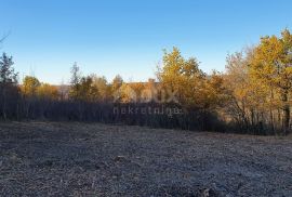 ISTRA, VIŽINADA - Prostrano građevinsko zemljište na osami s panoramskim pogledom, Vižinada, Zemljište