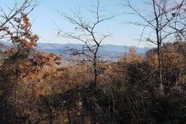 ISTRA, VIŽINADA - Prostrano građevinsko zemljište na osami s panoramskim pogledom, Vižinada, Zemljište