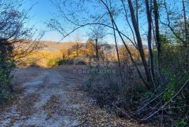 ISTRA, VIŽINADA - Prostrano građevinsko zemljište na osami s panoramskim pogledom, Vižinada, Zemljište