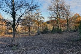 ISTRA, VIŽINADA - Prostrano građevinsko zemljište na osami s panoramskim pogledom, Vižinada, Zemljište